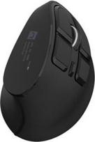 Natec Euphonie Pro Vertical Wireless Juoda (Black)