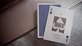 Pokerio kortos Aviator Pinochle Standard