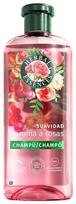 Šampūnas Herbal Essences, 350 ml