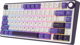 Royal Kludge RK R75 RGB Blackberry laidinė klaviatūra, 75%, Hot-swap, Rudos jungtys (Brown)