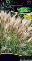 Miskanto (Miscanthus sinensis) sėklos DELUXE GARDEN I, 0,1 g
