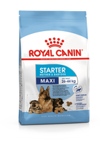 Royal Canin Maxi Starter sausas maistas šunims, 15 kg