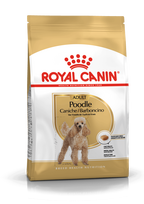 pudelis - Royal Canin Poodle Adult sausas maistas šunims, 1.5 kg - 1 nuotrauka