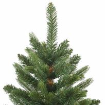 dirbtine eglute pe - Dirbtinė Kalėdų eglutė vidaXL, 150 cm, Žalia (Green), su 150 LED - 9 nuotrauka