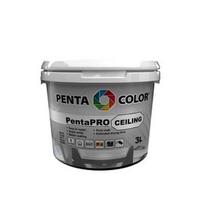 DAŽAI PENTACOLOR PENTAPRO CEILING BALTA 3L