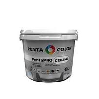 DAŽAI PENTACOLOR PENTAPRO CEILING BALTI 10L