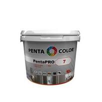 DAŽAI PENTACOLOR PENTAPRO 7 BALTI 10L