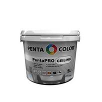 DAŽAI PENTACOLOR PENTAPRO CEILING BALT5L