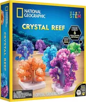 national geographic crystal - NATIONAL GEOGRAPHIC Kristalų auginimo rinkinys Crystal Reef, įvairių spalvų - 1 nuotrauka