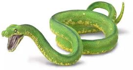Žaislinė figūrėlė, gyvatė Collecta Green Tree Python 88962, 14.3 cm, žalia