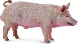 Žaislinė figūrėlė Collecta Boar 88864, įvairių spalvų