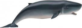 Žaislinė figūrėlė Collecta Pygmy Sperm Whale 88653, 15.2 cm, mėlyna