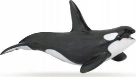 Žaislinė figūrėlė Papo Killer Whale 427498, 19 cm, balta/juoda