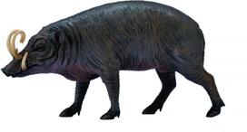 Žaislinė figūrėlė Collecta Babirusa 88727, 10 cm, juoda