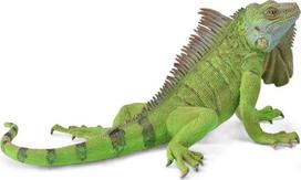 Žaislinė figūrėlė Collecta Iguana 88965, 13.8 cm, žalia