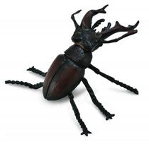 Žaislinė figūrėlė Collecta Stag Beetle 88703, 6.5 cm, ruda