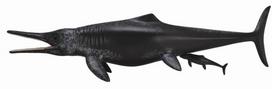 Žaislinė figūrėlė Collecta Temnodontosaurus Platyodon 88724, 17.6 cm, juoda