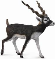 Žaislinė figūrėlė Collecta Blackbuck 88638, 8.4 cm, balta/juoda