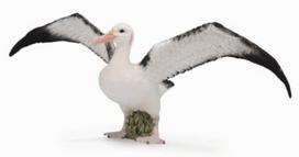 Žaislinė figūrėlė Collecta Wandering Albatross 88765, 19 cm, balta/juoda