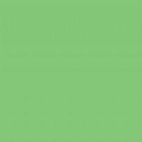 Falcon Eyes Background Paper 73 Summer Green 2,75 x 11 m