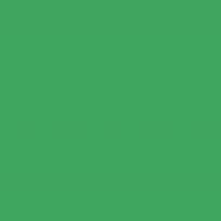 Falcon Eyes Background Paper 46 Chroma Green 1.35x11 m