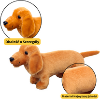 Lean Toys pliušinis žaislas Taksas, šviesiai rudas (Light Brown), 25 cm