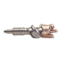 Grąžtas-freza betonui  Milwaukee SDS-max Vario; 45x150 mm