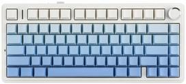 Aula F75 Mėlyna (Blue) - Leobog Reaper Switches