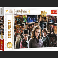 Trefl Dėlionė Harry Potter 160 det. 15418