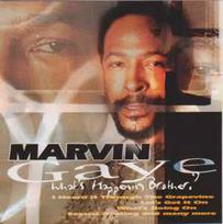 CD Marvin Gaye - What's Happening Brother