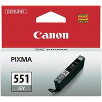 Rašalinio spausdintuvo kasetė Canon CLI-551 Grey
