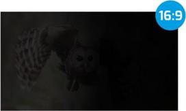 apsaugine plevele kompiuteriui - NATEC PRIVATUMO FILTRAS OWL 17,3“ 16:9 - 4 nuotrauka