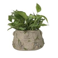 Dekoratyvinis vazonas "Veidas" Garden Center NFQ210021Z, 31 x 31 x 15.5 cm, pilka (Grey)