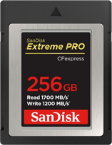 sandisk extreme pro - Sandisk Extreme Pro SDXC 256GB UHS-II - 1 nuotrauka