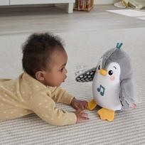 Fisher-Price HNC10 muzikinis pingvinukas, baltas/pilkas (White/Gray)