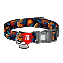 Antkaklis šunims Waudog Orange QR, įvairių spalvų, 280 - 400 mm x 20 mm, M
