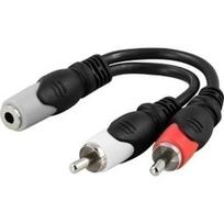DELTACO 3.5mm F-2xRCA M, 0.1m / AA-6A