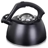 Vilde Virdulys su švilpuku ir termometru 3L Juodas (Black)