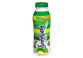 Jogurtinis gėrimas SMILGELĖ su kiviais ir bananais, 1% rieb., 450 ml