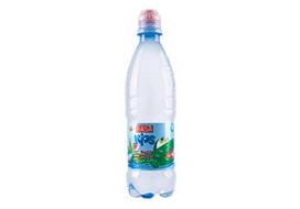 Negazuotas stalo vanduo RASA KIDS su kalciu, 500 ml