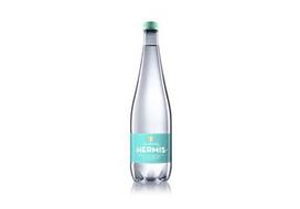 Negazuotas natūralus mineralinis vanduo DRUSKININKŲ HERMIS, 1 l