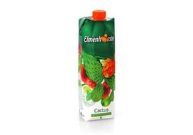 Kaktusų sulčių gėrimas ELMENHORSTER, 1 l
