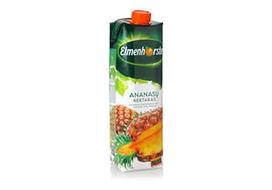 Pirkti Ananasų nektaras ELMENHORSTER, 50%, 1 l - Photo 1