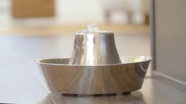 PetSafe Seaside Stainless Steel Pet Feeder 1.8 L, Sidabras (Silver)