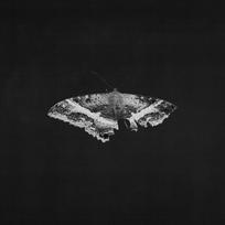 KENDRICK LAMAR "TO PIMP A BUTTERFLY" 10th Anniversary Juodas (Black) 2LP
