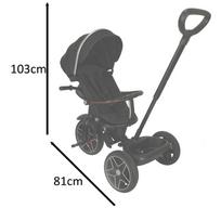 trike fix triratukas - TRIKE FIX Elite triratis Juodas (Black) - 13 nuotrauka