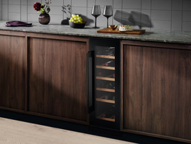 vyno saldytuvas buteliu - Electrolux EWS4020B5B - 7 nuotrauka