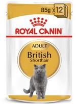 Royal Canin British Shorthair 85 gr konservai katėms