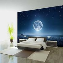 Fototapetas - Moonlit night