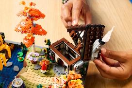 sodo nameliai - LEGO Autumn Cottage Garden 11372 - 10 nuotrauka
